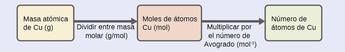 Se muestra un diagrama de tres recuadros conectados por una flecha hacia la derecha entre cada uno. El recuadro de la izquierda contiene la frase "Masa de átomos de C u ( g )", el del medio dice "Moles de átomos de C u ( mol )", mientras que el de la derecha contiene la frase "Número de átomos de C u”. Hay una frase bajo la flecha de la izquierda que dice "Dividir entre la masa molar (g / mol)", y bajo la flecha de la derecha dice: "Multiplicar por el número de Avogadro ( mol superíndice uno negativo)”.