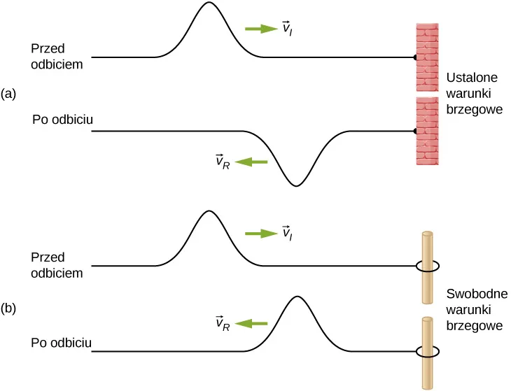 Rysunek a składa się z dwóch części. Na każdym mamy strunę zamocowaną z prawej strony do słupa, który nie ma swobody ruchu. Górny rysunek jest oznaczony jako sytuacja przed odbiciem. Impuls biegnie wzdłuż struny z prędkością v indeks dolny i. Dolny rysunek oznacza sytuację po odbiciu. Impuls biegnie w lewo z prędkością v indeks dolny R. Rysunek b ma dwie części; na każdej mamy strunę zamocowaną z prawej strony do drążka, który ma swobodę ruchu. Górny rysunek oznacza sytuację przed odbiciem. Impuls biegnie na prawo z prędkością v indeks dolny i. Dolny rysunek odnosi się do sytuacji po odbiciu. Impuls biegnie w lewo z prędkością v indeks dolny R.