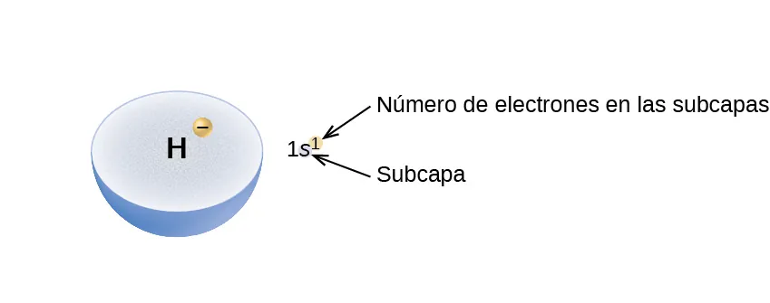 Una semiesfera azul claro está etiquetada como H. En un lugar a medio camino entre el centro y el borde exterior de la semiesfera se muestra una pequeña esfera amarillo-naranja que está etiquetada con un signo negativo. A la derecha de este diagrama se encuentra la configuración de electrones 1 s superíndice 1. El superíndice se muestra en un pequeño círculo amarillo-naranja. Este superíndice está etiquetado como "Número de electrones en la subcapa" y la s como "Subcapa".