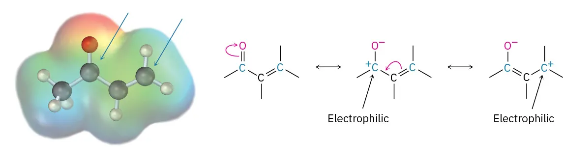 The ball-and-stick model in electrostatic potential map of an alpha-beta-unsaturated aldehyde or ketone. Resonance structures with negative on oxygen and positive on carbonyl and beta carbon are shown.