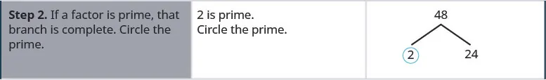 One row down, the instructions in the first cell say: “Step 2. If a factor is prime, that branch is complete. Circle the prime.” In the second cell, the instructions say: “2 is prime. Circle the prime.” In the third cell, the factor tree from step 1 is repeated, but the 2 at the bottom of the tree is now circled.