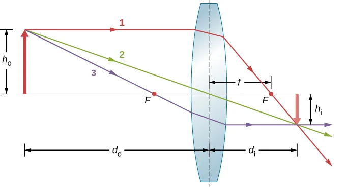 La figura muestra la sección transversal de una lente biconvexa. En la parte superior de un objeto se originan tres rayos y entran en la lente. El rayo 1 está paralelo al eje óptico. El rayo 2 cruza el centro de la lente. El rayo 3 cruza el punto focal por delante del objetivo. Todos los rayos convergen en el otro lado en la parte superior de una imagen invertida. El rayo 1 cruza el punto focal detrás de la lente. El rayo 2 no está desviado. El rayo 3 pasa a ser paralelo al eje óptico. Las distancias del objeto y de la imagen son d subíndice o y d subíndice I, respectivamente. Las alturas del objeto y de la imagen son h subíndice o y h subíndice I, respectivamente. La distancia focal es f.