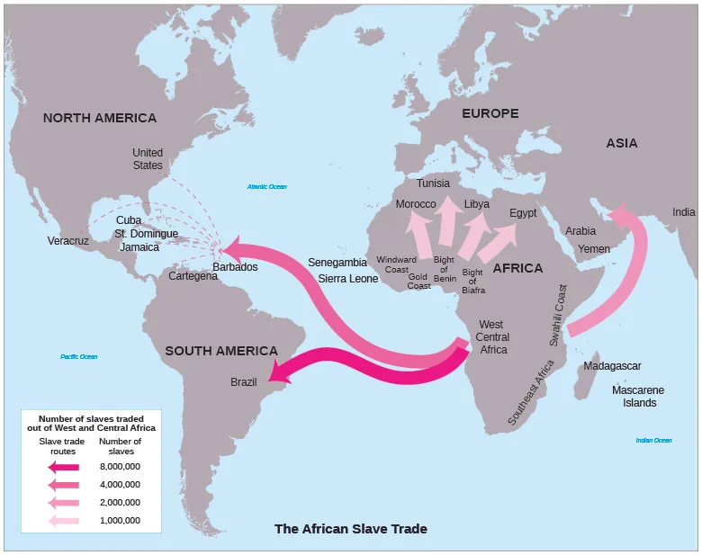 A map shows the routes that were used in the course of the slave trade and the number of enslaved people who traveled each route. Around 8,000,000 enslaved people were taken from West Central Africa to Brazil.  Around 4,000,000 enslaved people were taken from West Central Africa to Barbados in the Caribbean, and from there to the United States, Veracruz in present day Mexico, and other islands in the Caribbean. Around 2,000,000 enslaved people were taken from the Swahili Coast in East Africa to Arabia and the Persian Gulf. From places in West Africa such as the Gold Coast, Bight of Benin, and Bight of Biafra, around 1,000,000 enslaved people were taken to Morocco, Tunisia, Libya, and Egypt, all in Northern Africa.