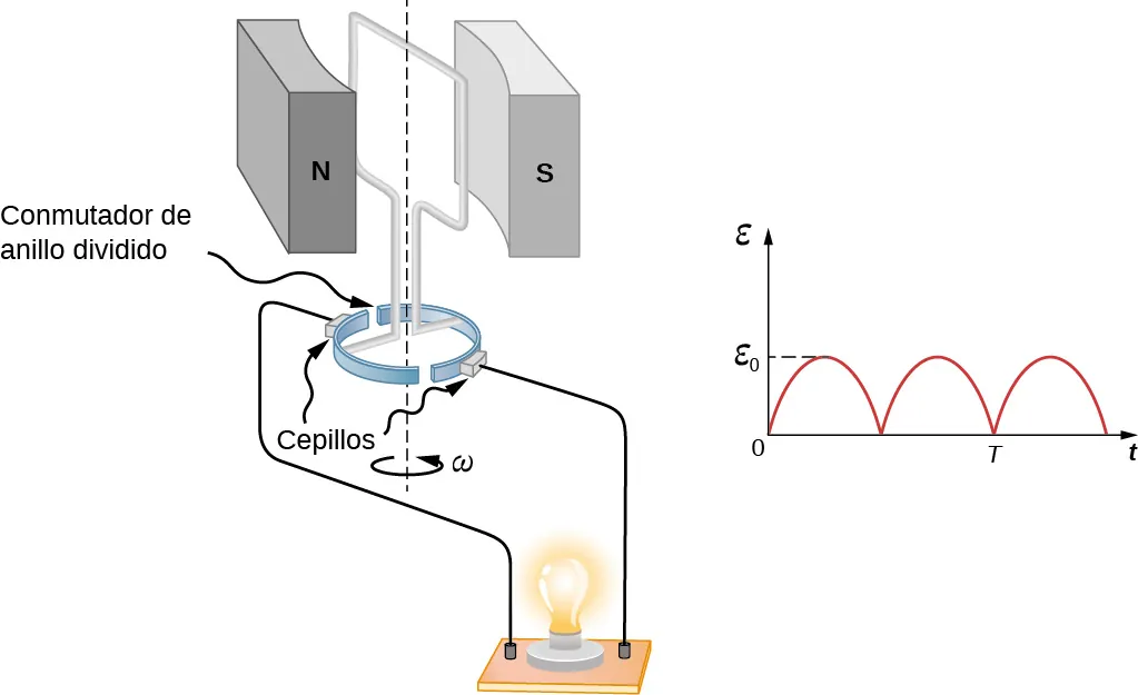 La imagen muestra una sola bobina rectangular que gira a velocidad angular constante entre los polos opuestos del imán. La corriente generada enciende la bombilla. El gráfico muestra la salida de emf de corriente continua pulsada.