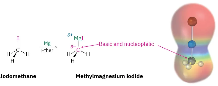 Iodomethane reacts with magnesium and ether to form methylmagnesium iodide. The carbon in the product (structure and ball-and-stick model in the electrostatic potential map) is labeled basic and nucleophilic.