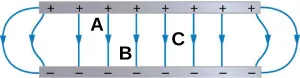 There is a gray long thin rectangle at the top of the figure with black pluses. The same size gray long thin rectangle is at the bottom of the figure with minuses below the positives. There are blue lines with an arrow in the middle connecting each + to each -. The two arrows on the left start at the same first + are curved toward the left and hit the first bottom -. The two lines on the right are curved toward the right and connect the last + and -. The six center arrows are vertical. Between line three and four near the + rectangle is an A. A B is between lines four and five near the – rectangle. C is halfway between the + and – rectangle between lines six and seven.