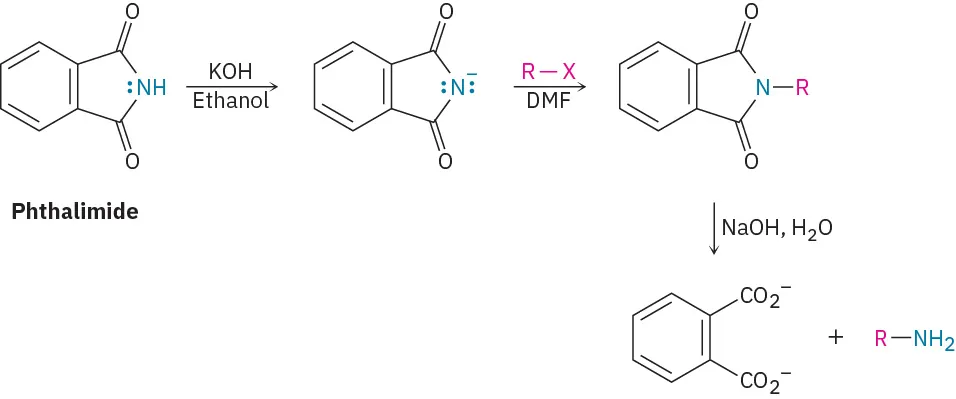 Phthalimide reacts with potassium hydroxide and ethanol, then alkyl halide and N,N-dimethylformamide, then sodium hydroxide and water to form a primary amine.