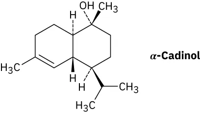 The structure of a cardiolipin. It comprises several ester molecules with two phosphate groups.