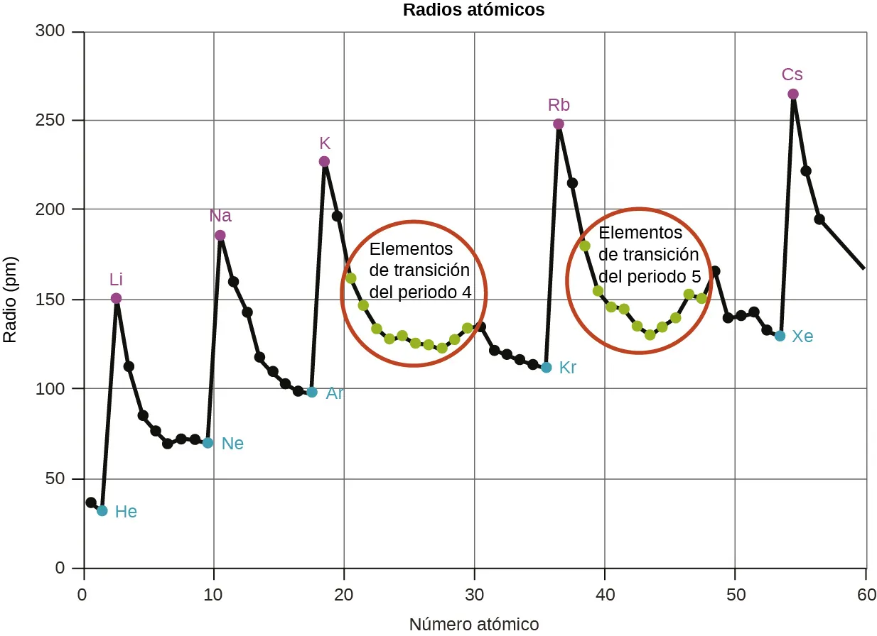 Este gráfico titulado "Radios atómicos" está etiquetado como "Número atómico" en el eje horizontal y "Radio (p m)" en el eje vertical. Las marcas se proporcionan cada 10 unidades hasta 60 en el eje horizontal comenzando en cero. Las líneas verticales se extienden desde el eje horizontal hacia arriba en cada una de estas marcas. El eje vertical comienza en 0 y aumenta de a 50 hasta 300. Las líneas horizontales se dibujan a través del gráfico en múltiplos de 50. Una línea negra dentada conecta los valores de los radios de los elementos con números atómicos del 1 al 60 en el gráfico. Los picos son evidentes en las ubicaciones de los metales alcalinos: L i, N a, K, R b y C s, en cuyos puntos del gráfico se colocan puntos púrpura y los elementos se etiquetan en púrpura. Del mismo modo, existen mínimos en las localizaciones de los gases nobles o inertes: H e, N e, A r, K r, X e y R n, en cuyos puntos se colocan puntos azules y los símbolos de los elementos se proporcionan en azul. Las ubicaciones de los elementos de transición de periodo 4 y 5 se indican con puntos verdes. Estos puntos se agrupan en dos lugares del gráfico que están marcados con un círculo rojo y etiquetados en consecuencia. Los puntos verdes de los elementos de transición junto con la línea que los une forman una U en el gráfico dentro de cada uno de los círculos rojos dibujados. Los radios atómicos de los metales alcalinos en picómetros son: L i 167, N a 190, K 243, R b 265 y C s 298. Los radios atómicos de los gases nobles o inertes incluidos en el gráfico en picómetros son: H e 31, N e 38, A r 71, K r 88 y X e 108.