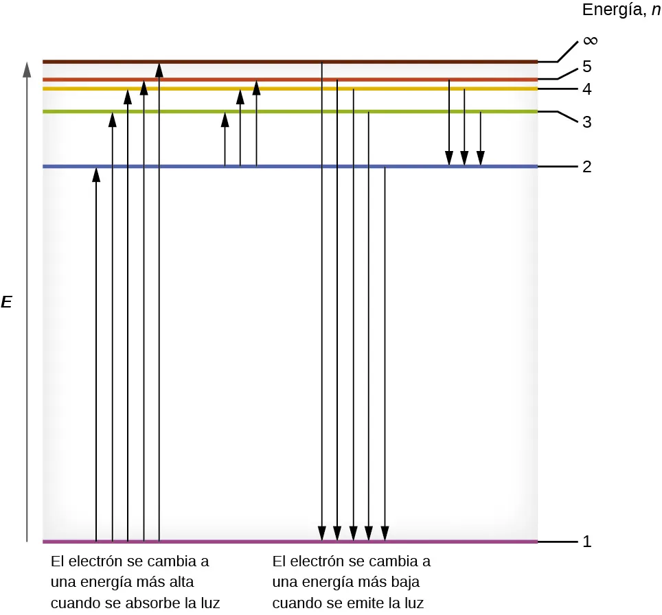 La figura incluye un diagrama que representa los niveles de energía relativos de los números cuánticos del átomo de hidrógeno. Una flecha que apunta hacia arriba a la izquierda del diagrama está etiquetada como "E". Justo a la derecha de la flecha se ha colocado un rectángulo sombreado de color gris orientado verticalmente. La altura del rectángulo coincide con la longitud de la flecha. Los segmentos de líneas horizontales de colores se colocan dentro del rectángulo y las etiquetas se colocan a la derecha del cuadro y se disponen en una columna con el título "Energía, n". En la base del rectángulo se dibuja un segmento de línea horizontal de color púrpura. Una línea negra se extiende a la derecha hasta la etiqueta "1". A un nivel de aproximadamente tres cuartos de la distancia a la parte superior del rectángulo, se dibuja un segmento de línea horizontal azul. Una línea negra se extiende a la derecha hasta la etiqueta "2". A un nivel de aproximadamente siete octavos de distancia de la base del rectángulo, se dibuja un segmento de línea horizontal verde. Una línea negra se extiende a la derecha hasta la etiqueta "3". A poca distancia por encima de este segmento, se dibuja un segmento de línea horizontal naranja. Un segmento de línea negra se extiende a la derecha hasta la etiqueta "4". Justo encima de este segmento, se dibuja un segmento de línea horizontal roja. Una línea negra se extiende a la derecha hasta la etiqueta "5". A poca distancia por encima de este segmento, se dibuja un segmento de línea horizontal marrón. Una línea negra se extiende a la derecha hasta la etiqueta "infinito". Las flechas representan las energías de los fotones absorbidos, como muestran las flechas que apuntan hacia arriba a la izquierda, o liberados, como muestran las flechas que apuntan hacia abajo a la derecha del diagrama, entre los segmentos de las líneas de color. Debajo de las flechas que apuntan hacia arriba se ha colocado la etiqueta "El electrón se desplaza a una energía más alta cuando se absorbe la luz". Del mismo modo, debajo de las flechas que apuntan hacia abajo aparece la etiqueta "El electrón se desplaza hacia una energía más baja a medida que se emite la luz". Moviéndose de izquierda a derecha a través del diagrama, las flechas se extienden de un segmento de línea de color al siguiente en este orden: de púrpura a azul, de púrpura a verde, de púrpura a naranja, de púrpura a rojo, de púrpura a marrón, de azul a verde, de azul a naranja y de azul a rojo. Las flechas que se originan en el mismo segmento de color se agrupan por la ubicación cercana de las flechas. Del mismo modo, las flechas descendentes siguen esta secuencia: marrón a púrpura, rojo a púrpura, naranja a púrpura, verde a púrpura, azul a púrpura, rojo a azul, naranja a azul y verde a azul. Las flechas se agrupan de nuevo por su ubicación cercana según el color en el que terminan las flechas.