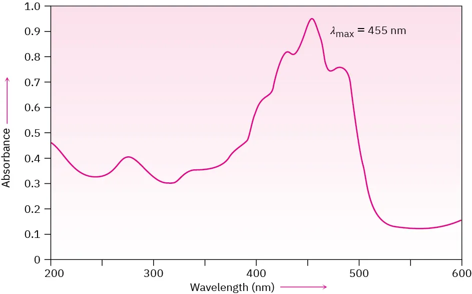 The ultraviolet spectrum of beta-carotene shows a curve with a peak (lambda max) at 455 nanometers. The x-axis and y-axis represent wavelength and absorbance, respectively.