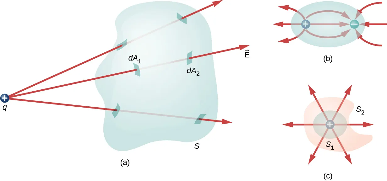 La figura a muestra una forma tridimensional irregular marcada como S. Un pequeño círculo con un signo más, marcado como q está fuera de ella. Tres flechas marcadas como vector E se originan en q y pasan a través de S. Las áreas donde las flechas perforan la superficie de S están resaltados. El área en el que una flecha entra en la forma está marcada como dA1 y el área en el que la flecha sale de la forma está marcada como dA2. La figura b muestra un óvalo con dos pequeños círculos en su interior. Estos están marcados como más y menos. Tres flechas desde el exterior del óvalo apuntan al círculo marcado como menos. Tres flechas apuntan de más a menos. Tres flechas señalan desde más hasta el exterior del óvalo. La figura c tiene una forma irregular marcada como S2. Dentro de ella hay un círculo llamado S1. En su centro hay un pequeño círculo marcado con un signo más. Seis flechas irradian desde aquí en diferentes direcciones.