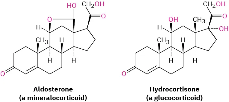 Two structures which include aldosterone (a mineralocorticoid) and hydrocortisone(a glucocorticoid).