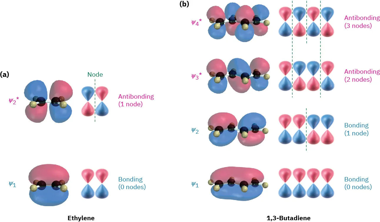 The pi molecular orbitals of ethylene (one bonding and one antibonding) and 1,3-butadiene (two bonding and two antibonding).