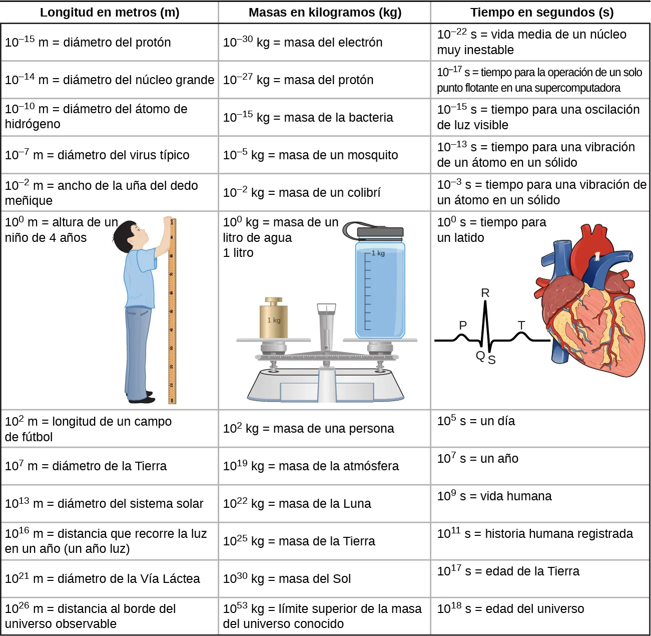 Esta tabla de órdenes de magnitud de longitud, masa y tiempo tiene tres columnas y trece filas. La primera fila es una fila de encabezado e identifica cada columna, "longitud en metros (m)", "masas en kilogramos (kg)" y "tiempo en segundos (s)". En la columna "longitud en metros" se encuentran las siguientes entradas: 10 a la menos 15 metros es el diámetro del protón, 10 a la menos 14 metros es el diámetro del núcleo grande, 10 a la menos 10 metros es el diámetro del átomo de hidrógeno, 10 a la menos 7 metros es el diámetro del virus típico, 10 a la menos 2 metros es el ancho de la uña del dedo meñique, 10 a la 0 metros es la altura de un niño de 4 años, y se incluye un dibujo de un niño midiéndose con una vara de medir, 10 a la 2 metros es la longitud del campo de fútbol, 10 a la 7 metros es el diámetro de la Tierra, 10 a la 13 metros es el diámetro del sistema solar, 10 a la 16 metros es la distancia que recorre la luz en un año (un año luz), 10 a la 21 metros es el diámetro de la Vía Láctea, 10 a la 26 metros es la distancia al borde del universo observable. En la columna "masas en kilogramos" se encuentran las siguientes entradas: 10 a la -30 kilogramos es igual a la masa del electrón, 10 a la -27 kilogramos es igual a la masa del protón, 10 a la -15 kilogramos es igual a la masa de la bacteria, 10 a la -5 kilogramos es igual a la masa del mosquito, 10 a la -2 kilogramos es igual a la masa del colibrí, 10 a la 0 kilogramos es igual a la masa del litro de agua, y se muestra un dibujo de una balanza con un litro en un lado y una masa de 1 kilogramo en el otro, 10 a la 2 kilogramos es igual a la masa de la persona, 10 a la 19 kilogramos es igual a la masa de la atmósfera, 10 a la 22 kilogramos es igual a la masa de la luna, 10 a la 25 kilogramos es igual a la masa de la Tierra, 10 a la 30 kilogramos es igual a la masa del Sol, 10 a la 53 kilogramos es igual al límite superior de la masa del universo conocido. En la columna "tiempo en segundos" están las siguientes entradas: 10 a la -22 segundos equivale a la vida media de un núcleo muy inestable, 10 a la -17 segundos equivale al tiempo de una operación en coma flotante en una supercomputadora, 10 a la -15 segundos equivale al tiempo de oscilación de la luz visible, 10 a la -13 segundos equivale al tiempo de vibración de un átomo en un sólido, 10 a la -3 segundos equivale a la duración de un impulso nervioso, 10 a la 0 equivale al tiempo de un latido del corazón, y se muestra un dibujo del corazón con un trazado de tres pulsos. El pico del primer pulso se marca como P. El siguiente pulso es de mayor amplitud y menor duración. El inicio del segundo pulso está marcado como Q, su pico está marcado como R y su final está marcado como S. El pico del tercer pulso está marcado como T. Las entradas de la columna continúan de la siguiente manera: 10 a la 5 segundos equivale a un día, 10 a la 7 segundos equivale a un año, 10 a la 9 segundos equivale a la vida humana, 10 a la 11 segundos equivale a la historia humana de la que se tiene registro, 10 a la 17 segundos equivale a la edad de la Tierra, 10 a la 18 segundos equivale a la edad del universo.