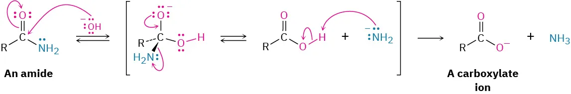 Nucleophilic attack on carbonyl carbon by hydroxide pushes electron density onto carbonyl oxygen; regenerating carbon-oxygen double bond expels amide ion. Proton abstraction by amide ions forms carboxylate ion and ammonia.
