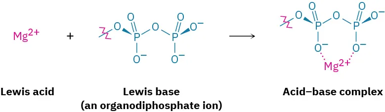 A reaction shows Lewis acid (M g 2 positive) reacting with Lewis base (an organodiphosphate ion) to form an acid-base complex.