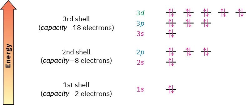 The energy levels of the first three shells, including orbitals filled with pairs of electrons. The capacities of first, second, and third shells are 2, 8, and 18 electrons, respectively.