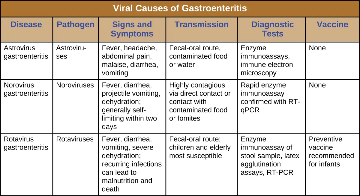 Table titled: Viral Causes of Gastroenteritis. Description below.