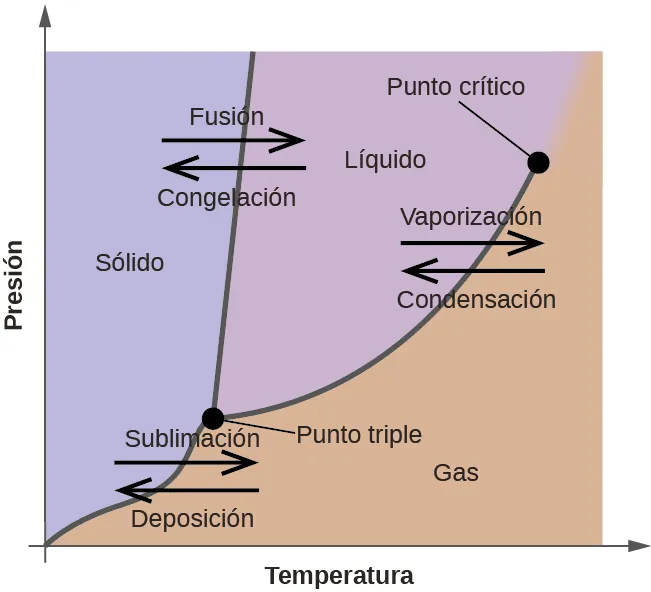 Se muestra un gráfico en el que el eje x está marcado como "Temperatura" y el eje y como "Presión". Una línea se extiende desde la parte inferior izquierda del gráfico hacia arriba hasta un punto que es un tercio del eje x. Una segunda línea comienza en el tercio inferior de la primera línea en un punto marcado como "punto triple" y se extiende hasta la esquina superior derecha del gráfico donde se marca como "punto crítico". Las dos líneas dividen el área del gráfico para crear tres secciones, marcadas como "sólido" cerca de la parte superior izquierda, "líquido" en la parte superior central y "gas" cerca de la parte inferior derecha. Un par de flechas horizontales, una orientada a la izquierda y marcada como "deposición" y otra orientada a la derecha y marcada como "sublimación", se dibujan en la parte superior de la sección inferior de la primera línea. Un segundo par de flechas horizontales, una orientada a la izquierda y marcada como "congelación" y otra orientada a la derecha y marcada como "fusión", se dibujan sobre la sección superior de la primera línea. Un tercer par de flechas horizontales, una orientada a la izquierda y marcada como "condensación" y otra orientada a la derecha y marcada como "vaporización", se dibujan en la parte superior de la sección media de la segunda línea.