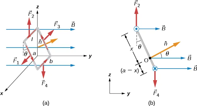 Ilustracja przedstawiająca prostokątną pętlę przewodzącą prąd l. Prąd w pętli jest skierowany odwrotnie do kierunku ruchu wskazówek zegara patrząc od dodatniego kierunku y w kierunku początku układu. Pętla jest w jednorodnym polu magnetycznym, B, które skierowane jest na prawo. Rysunek a przedstawia trójwymiarowy obraz pętli. Boki górny i dolne są równoległe do osi x i mają długość b. Bok górny jest jako y=0 i dodatni z prądem w dodatnim kierunku x. Bok u podstawy ma dodatnie y i z=0, a prąd w ujemnym kierunku x. Pozostałe dwa boki mają długość b. Jeden jest x=0 i ma prąd skierowany w górę, a drugi ma x dodatni i prąd skierowany w górę. Obydwa boki są pochylone tworząc kąt theta u szczytu odpowiednio do osi z. Pokazany jest kierunek wektora jednostkowego n z daszkiem prostopadłego do powierzchni prostokątnej pętli. Pokazane są również siły działające na każdym z boków. F 1 jest siłą na pochylonej stronie przy x=0 wskazującą dodatni kierunek x oraz skierowaną w dodatnim kierunku x. F 2 jest siłą na szczycie strony wskazującą w górę. F 3 jest siłą na pochylonej stronie przy x=0 wskazującą ujemny kierunek x. F4 jest siłą u podstawy wskazującą w dół. Rysunek b przedstawia stronę widoku pętli, tak że oglądamy płaszczyznę y z i widzimy tylko pochyloną stronę, która tworzy kąt theta z linią pionową szczytu. Prąd przypływa do nas ze szczytu pętli i podąża ku środkowi strony u podstawy. Siła F 2 jest u góry szczytu, siła F 4 jest w dole podstawy. Wektor n z daszkiem wskazuje w górę i w prawo, na kąt theta pola B. Pokazany jest punkt przegubowy O, dla którego obliczamy moment obrotowy w odległości x od szczytu pętli i a-x od podstawy.