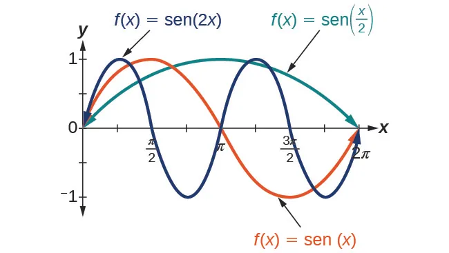 Gráfico con tres elementos. El eje x va de 0 a 2pi. El eje y va de -1 a 1. El primer elemento es el gráfico de sen(x) para un periodo completo. El segundo es el gráfico de sin(2x) en dos periodos. El tercero es el gráfico de sen(x/2) para la mitad de un periodo.