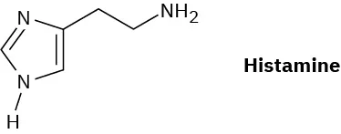 The structure of histamine, a five-membered ring incorporating two nitrogens with a carbon between them. There are two double bonds (one nitrogen has a hydrogen), and an ethylamine substituent.