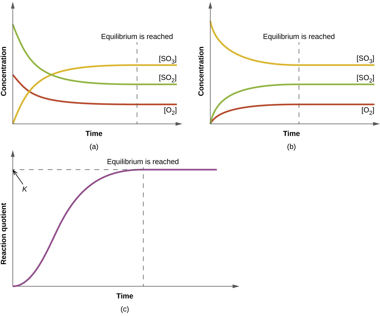 Three graphs are shown and labeled, “a,” “b,” and “c.” All three graphs have a vertical dotted line running through the middle labeled, “Equilibrium is reached.” The y-axis on graph a is labeled, “Concentration,” and the x-axis is labeled, “Time.” Three curves are plotted on graph a. The first is labeled, “[ S O subscript 2 ];” this line starts high on the y-axis, ends midway down the y-axis, has a steep initial slope and a more gradual slope as it approaches the far right on the x-axis. The second curve on this graph is labeled, “[ O subscript 2 ];” this line mimics the first except that it starts and ends about fifty percent lower on the y-axis. The third curve is the inverse of the first in shape and is labeled, “[ S O subscript 3 ].” The y-axis on graph b is labeled, “Concentration,” and the x-axis is labeled, “Time.” Three curves are plotted on graph b. The first is labeled, “[ S O subscript 2 ];” this line starts low on the y-axis, ends midway up the y-axis, has a steep initial slope and a more gradual slope as it approaches the far right on the x-axis. The second curve on this graph is labeled, “[ O subscript 2 ];” this line mimics the first except that it ends about fifty percent lower on the y-axis. The third curve is the inverse of the first in shape and is labeled, “[ S O subscript 3 ].” The y-axis on graph c is labeled, “Reaction Quotient,” and the x-axis is labeled, “Time.” A single curve is plotted on graph c. This curve begins at the bottom of the y-axis and rises steeply up near the top of the y-axis, then levels off into a horizontal line. The top point of this line is labeled, “k.”