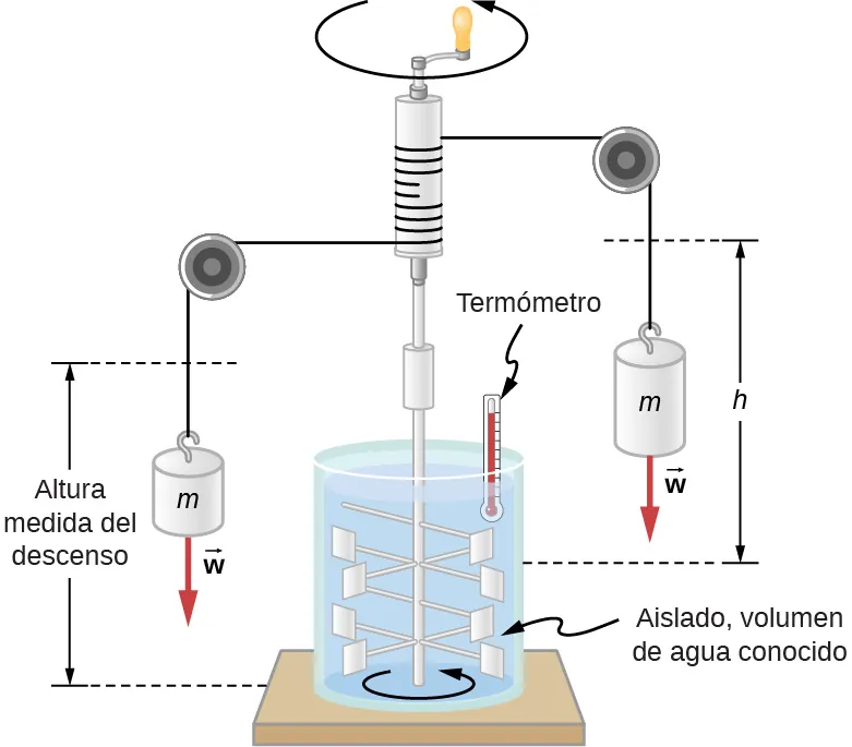 Se llena un recipiente cilíndrico aislado con agua de volumen conocido. Una varilla vertical se sumerge en este. Tiene unas palas que agitan el agua si se gira la varilla. La parte superior de la varilla está fuera del agua. Se ata una cuerda alrededor, cuyos dos extremos pasan por encima de poleas y soportan pesos a ambos lados. Una palanca en la parte superior se utiliza para girar la varilla. Se mantiene un termómetro en el agua. La distancia desde el centro del peso y la polea hasta la base del recipiente se etiqueta como altura de descenso medida.