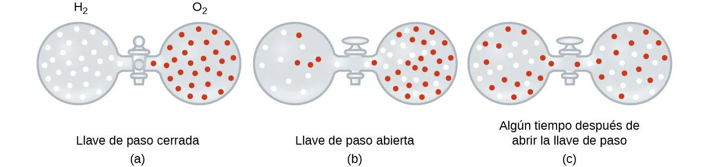 En esta figura, se muestran tres pares de esferas o recipientes llenos de gas conectados con una llave de paso entre ellos. En a, la figura está marcada como "Llave de paso cerrada". Arriba, la esfera de la izquierda está marcada como "H subíndice 2". Contiene aproximadamente 30 pequeños círculos blancos distribuidos de manera uniforme. La esfera a su derecha está marcada como "O subíndice 2". Contiene aproximadamente 30 pequeños círculos rojos distribuidos de manera uniforme. En b, la figura está marcada como "Llave de paso abierta". El mango de la válvula de la llave de paso ahora está paralelo al tubo que conecta las dos esferas. A la izquierda, hay aproximadamente 9 círculos blancos pequeños y 4 círculos rojos pequeños, y las esferas rojas aparecen ligeramente más cerca de la llave de paso. En el lado derecho, hay aproximadamente 25 esferas rojas pequeñas y 21 esferas blancas pequeñas, siendo la concentración de esferas blancas ligeramente mayor cerca de la llave de paso. En c, la figura está marcada como "Algún tiempo después de la apertura de la llave de paso. En esta situación, las esferas roja y blanca aparecen mezcladas y distribuidas uniformemente en ambas esferas.