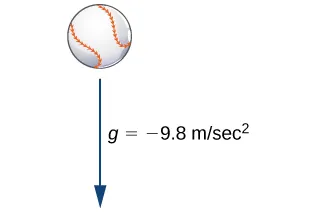 A picture of a baseball with an arrow underneath it pointing down. The arrow is labeled g = -9.8 m/sec ^ 2.
