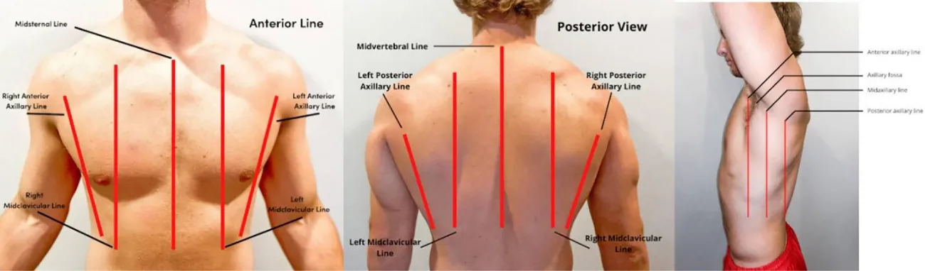 A three-panel image of anterior, posterior, and lateral views of the chest with labels is shown.