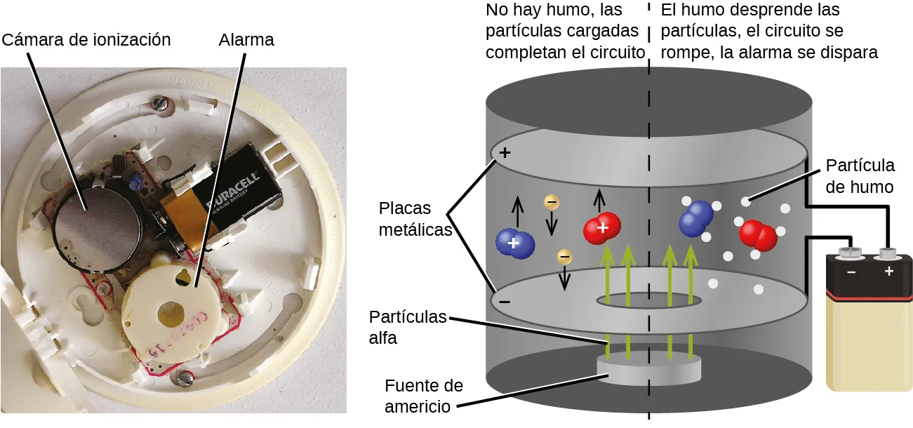 Se muestra una fotografía y un diagrama. La fotografía muestra el interior de un detector de humo. Una pieza circular de plástico en la sección inferior del detector está marcada como "alarma", mientras que un disco metálico en la parte superior izquierda de la foto está marcado como "cámara de ionización". En la parte superior derecha del detector hay una batería. El diagrama es una vista ampliada de la cámara de ionización. En el interior de la carcasa cilíndrica hay dos placas circulares horizontales, marcadas como "placas metálicas"; la parte superior está marcada con un signo positivo y la inferior, con un signo negativo. Los cables se muestran conectados a las placas y a los terminales de una batería en el exterior de la cámara. Un disco en el fondo de la cámara está marcado como "fuente de americio" y cuatro flechas, marcadas como "partículas alfa", se dirigen verticalmente desde este disco, a través de un agujero en la placa negativa, y hacia el espacio superior de la cámara. En este espacio se encuentran dos moléculas, con signos positivos, formadas por dos esferas azules y dos moléculas, con signos positivos, formadas por dos esferas rojas, así como dos esferas amarillas con signos negativos y flechas hacia abajo. Once puntos blancos rodean dos de las moléculas a la derecha de la imagen y se marcan como "partículas de humo". Encima de la parte izquierda de la imagen aparece la frase "No hay humo, las partículas cargadas completan el circuito", mientras que en una frase encima de la parte derecha de la imagen se lee: "El humo descarga las partículas, el circuito se rompe, la alarma se dispara".