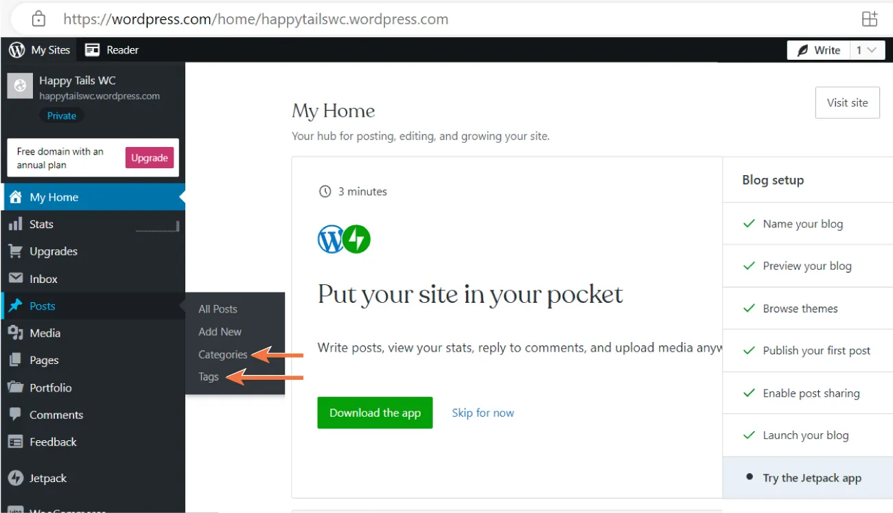 WordPress MyHome page displays options for Blog setup: Name your blog, Preview your blog, Browse themes, Publish your first post, Enable post sharing, Launch your blog (indicated), Try the Jetpack app.