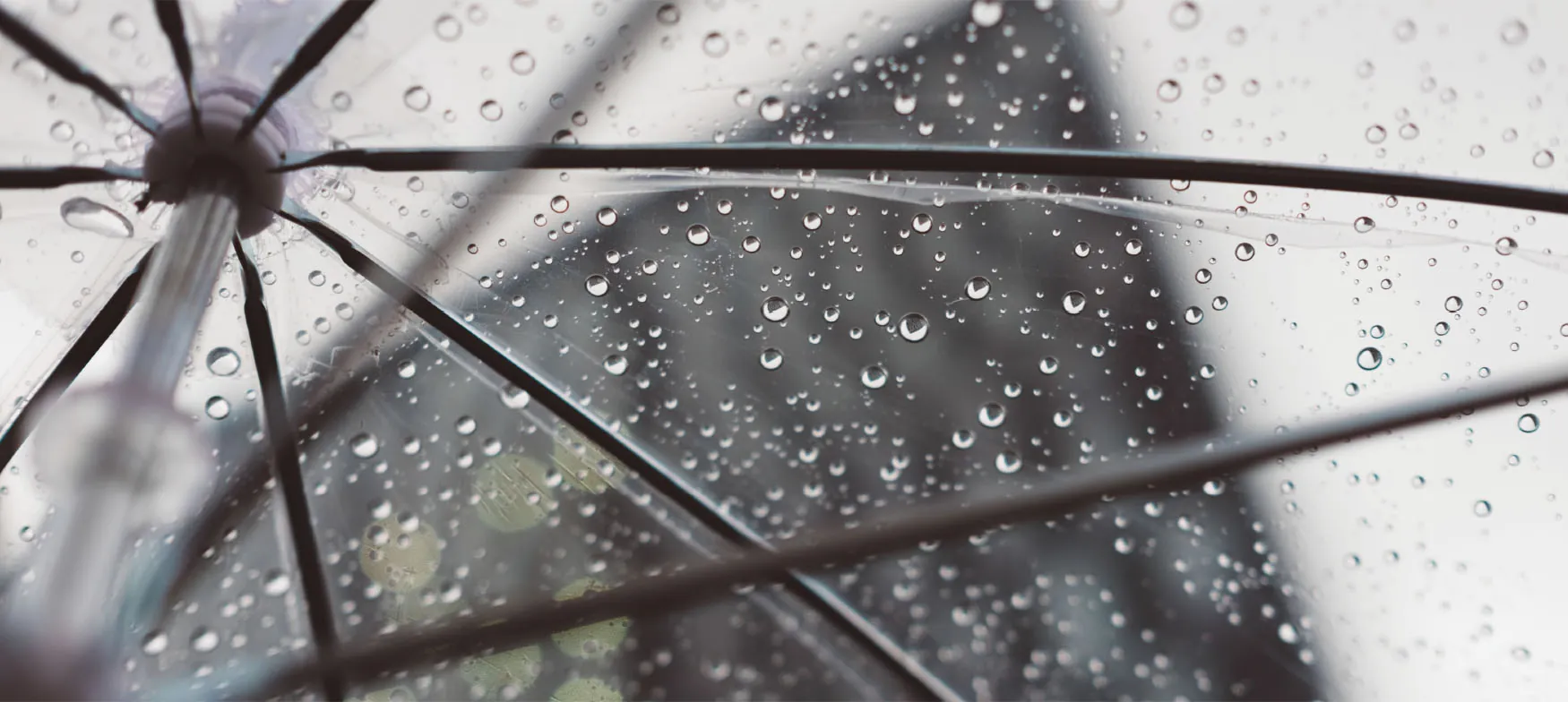 Photo of raindrops on clear umbrella.
