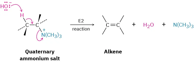 A quaternary ammonium salt reacts with hydroxide ion via an E 2 reaction to form an alkene, water and trimethylamine.