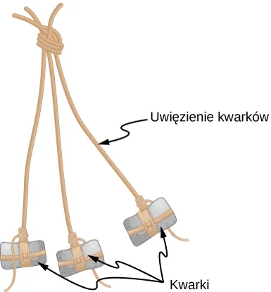 Trzy sznurki są związane we wspólny koniec. Do drugich końców przywiązane są kamienie. Sznurki są oznaczone jako uwięzienie kwarków. Kamienie są oznaczone jako kwarki.