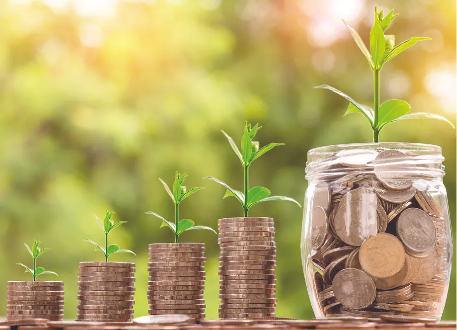 A image shows plants growing from stacks of money of different sizes.