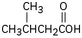 The structure of 3-methylbutanoic acid, which has a C O O H group on C 1 and a methyl group on C 3 of a four-carbon chain.