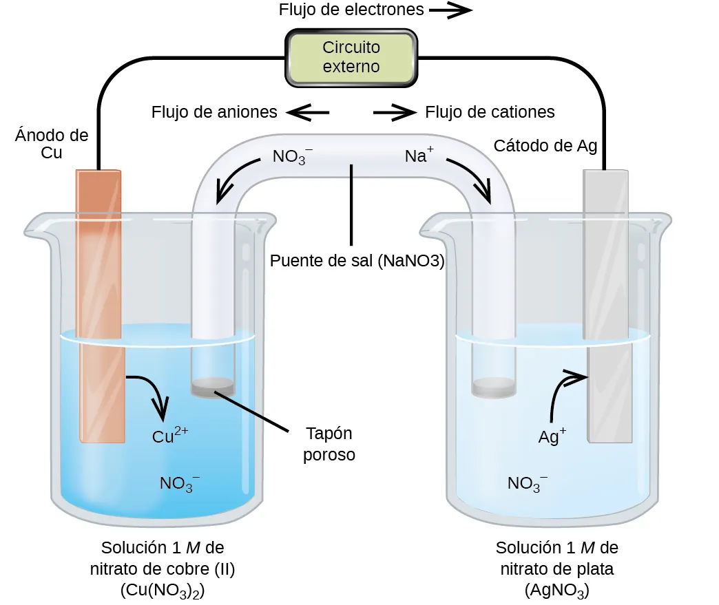 Esta figura contiene un diagrama de una celda electroquímica. Se muestran dos vasos de precipitados. Cada uno de ellos se encuentra a poco más de la mitad de su capacidad. El vaso de precipitados de la izquierda contiene una solución azul y está marcado abajo como "solución 1 M de nitrato de cobre (II) (C u (N O subíndice 3) subíndice 2)". El vaso de precipitados de la derecha contiene una solución incolora y está marcado abajo como "solución 1 M de nitrato de plata (A g N O subíndice 3)". Un tubo de vidrio en forma de U invertida conecta los dos vasos de precipitados en el centro del diagrama. El contenido del tubo es incoloro. Los extremos de los tubos están por debajo de la superficie de las soluciones en los vasos de precipitados y hay un pequeño tapón gris en cada extremo del tubo. El tapón del vaso de precipitados de la izquierda está marcado como "Tapón poroso". En el centro del diagrama, el tubo está marcado como "Puente salino (N a N O subíndice 3). Cada vaso de precipitados muestra una tira metálica parcialmente sumergida en el líquido. El vaso de la izquierda tiene una tira de color marrón anaranjado marcada como "Ánodo C u negativo" en la parte superior. El vaso de la derecha tiene una tira de plata marcada como "Cátodo A g positivo" en la parte superior. Un cable se extiende desde la parte superior de cada una de estas tiras hasta un rectángulo que indica "circuito externo" y que está marcado como "flujo de electrones" con una flecha que apunta a la derecha a continuación. Una flecha curva se extiende desde la franja C u hacia la solución circundante. La punta de esta flecha está marcada como "C u superíndice 2 más". Una flecha curva se extiende desde el puente salino hacia el vaso de precipitados de la izquierda en la solución azul. La punta de esta flecha está marcada como "N O subíndice 3 superíndice negativo". Una flecha curva se extiende desde la solución en el vaso de precipitados de la derecha hasta la tira de A g. La base de esta flecha está marcada como "A g superíndice más". Una flecha curva se extiende desde la solución incolora hasta el puente salino en el vaso de precipitados de la derecha. La base de esta flecha está marcada como "N O subíndice 3 superíndice negativo". Justo a la derecha del puente salino en la solución incolora está la marcación "N a superíndice más". Justo encima de esta región del tubo aparece la marcación "Flujo de cationes". Justo a la izquierda del puente salino en la solución azul está la marcación "N O subíndice 3 superíndice negativo". Justo encima de esta región del tubo aparece la marcación "Flujo de aniones".