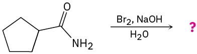 Cyclopentanecarboxamide reacts with bromine, sodium hydroxide, and water to form an unknown product represented by a question mark.