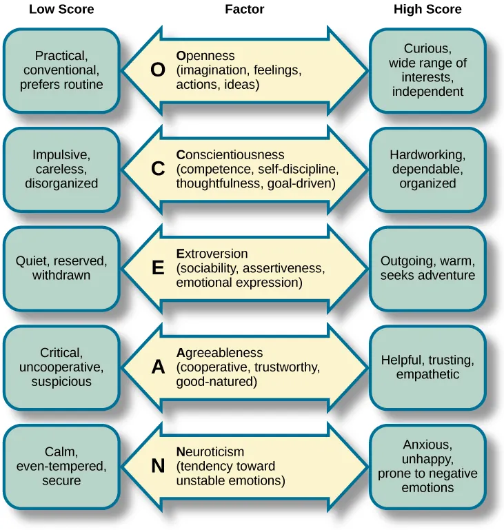 A diagram includes five vertically stacked arrows, which point to the left and right. A dimension's first letter, name, and description are included inside of each arrow. A box to the left of each arrow includes factors associated with a low score for that arrow's dimension. A box to the right of each arrow includes factors associated with a high score for that arrow's dimension. The top arrow includes the factor “openness,” which is described with the words, “imagination,” “feelings,” “actions,” and “ideas.” The box to the left of that arrow includes the words, “practical,” “conventional,” and “prefers routine,” while the box to the right of that arrow includes the words, “curious,” “wide range of interests,” and “independent.” The next arrow includes the factor “conscientiousness,” which is described with the words, “competence,” “self-discipline,” “thoughtfulness,” and “goal-driven.” The box to the left of that arrow includes the words, “impulsive,” “careless,” and “disorganized,” while the box to the right of that arrow includes the words, “hardworking,” “dependable,” and “organized.” The next arrow includes the factor “extroversion,” which is described with the words, “sociability,” “assertiveness,” and “emotional expression.” The box to the left of that arrow includes the words, “quiet,” “reserved,” and “withdrawn,” while the box to the right of that arrow includes the words, “outgoing,” “warm,” and “seeks adventure.” The next arrow includes the factor “agreeableness,” which is described with the words, “cooperative,” “trustworthy,” and “good-natured.” The box to the left of that arrow includes the words, “critical,” “uncooperative,” and “suspicious,” while the box to the right of that arrow includes the words, “helpful,” “trusting,” and “empathetic.” The next arrow includes the factor “neuroticism,” which is described as “tendency toward unstable emotions.” The box to the left of that arrow includes the words, “calm,” “even-tempered,” and “secure,” while the box to the right of that arrow includes the words, “anxious,” “unhappy,” and “prone to negative emotions.”