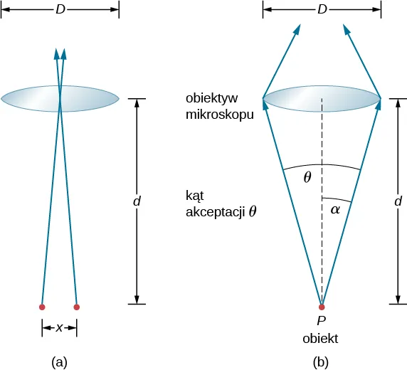 Figura a przedstawia dwa punkty znajdujące się w odległości d od siebie. Promienie wychodzące z tych punków przecinają się w odległości d od punktów. Soczewka o średnicy D jest umieszczona w punkcie przecięcia się promieni. Figura b przedstawia punkt P, który jest obiektem. Dwa promienie wychodzące z tego punktu i trafiają w oba punkty wierzchołkowe soczewki. Tworzą one kat alpha z osia centralną i kąt theta ze sobą. Theta jest kątem akceptacji. Soczewka jest opisana obiektyw mikroskopu. Promienie zbliżają się do sibie po drugiej stronie soczewki.