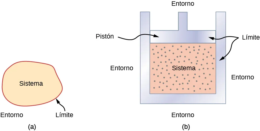 La figura a ilustra el concepto de un sistema. Un límite separa el sistema, dentro sí mismo, del entorno que está por fuera del límite. La figura b es una ilustración esquemática de un cilindro de motor como ejemplo de un sistema específico. El sistema es el gas dentro del pistón. El límite está formado por el cuerpo del cilindro que contiene el gas y el pistón que tapa el cilindro en la parte superior. El entorno consiste en todo lo que está fuera del cilindro y por encima del pistón.