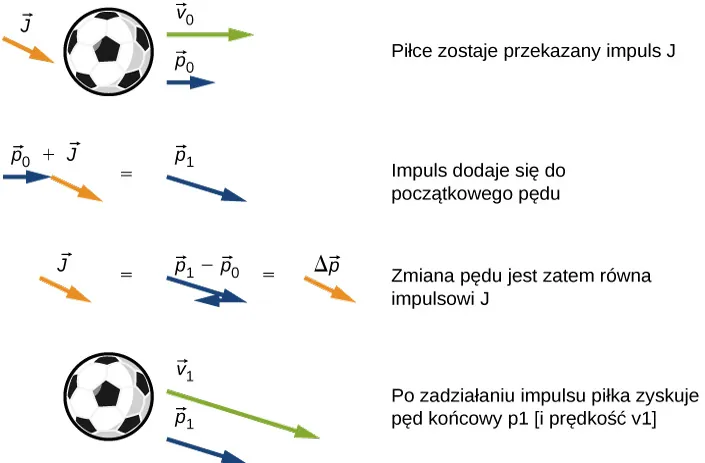Na rysunku pokazano widok piłki futbolowej, opatrzony wektorami: wektor v0 skierowany poziomo w prawo, wektor p0 także poziomo w prawo oraz wektor J skierowany ukośnie w prawo i w dół. Ten rysunek opisano słowami: Piłce udzielony zostaje impuls. Kolejny rysunek, dokładnie pod rysunkiem poprzednim, pokazuje wektor p0 skierowany poziomo w prawo wraz z dorysowanym do jego końca wektorem J, skierowanym ukośnie w prawo i w dół. Na prawo od kombinacji wektorów narysowano znak równości i wektor p1, skierowany także ukośnie w prawo w dół, pod nieco mniejszym kątem do poziomu. Nad wektorami napisano „p0 plus J równe p1”. Opis tej części rysunku brzmi: Impuls dodaje się do początkowego pędu. Następny rysunek, dokładnie pod poprzednim, pokazuje wektor J ukośnie w prawo i w dół równe wektorowi p1 z dorysowanym do jego końca wektorem minus p0, skierowanym poziomo w lewo, a następnie wektor delta p, skierowany identycznie jak wektor J – ukośnie w prawo i w dół. Opis tego rysunku brzmi: zmiana pędu jest równa impulsowi. Najniższe piętro rysunku przedstawia ponownie piłkę futbolową z dorysowanymi do niej wektorami v1 i p1, równoległymi do siebie i skierowanymi ukośnie w prawo i w dół, podobnie jak na rysunku wyżej wektor p1. Ta część rysunku opisana jest tekstem: po zadziałaniu impulsu piłka posiada pęd końcowy p1 i prędkość v1.