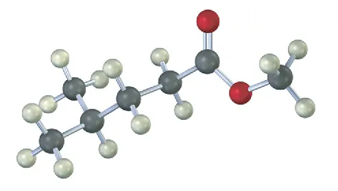 A ball-and-stick model of a five-carbon chain with C O O C H 3 on C 1, and a methyl group on C 4 position.