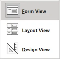 List displays Form View, Layout View, and Design View with icons.