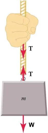 A hand is pulling downward on a rope with an object labeled m for mass attached to the bottom of the rope. A tension force vector from the hand points downward and another tension force vector from the object points upward. A weight force vector from the object points downward. The rope is the medium that transmits between the two objects' forces of equal magnitude but that act in opposite directions.