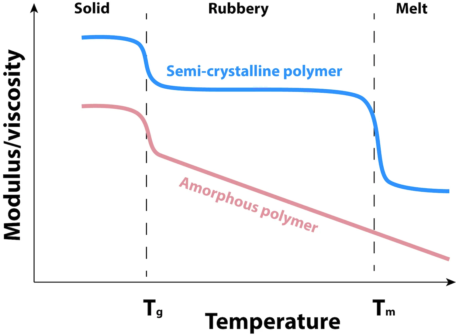 A graph shows the relationship between viscosity and temperature as a general trendline with no exact values. The y axis is viscosity and the x axis is temperature. The graph is divided into three areas according to the increase in temperature, going from solid to rubbery to melt as temperature increases. A curve is labeled semi-crystalline polymer, and begins at the top of the graph -- where viscosity is highest, and moves downward and to the right, indicating that viscosity lowers as temperature increases.  It remains horizontal (indicating no viscosity change) in the region labeled rubbery.  Below that curve is one labeled amophous polymer, which starts at a lower level of viscosity and progresses steadily down and to the right, with no leveling, indicating that viscosity goes down as temperature goes up with in a correlated manner.
