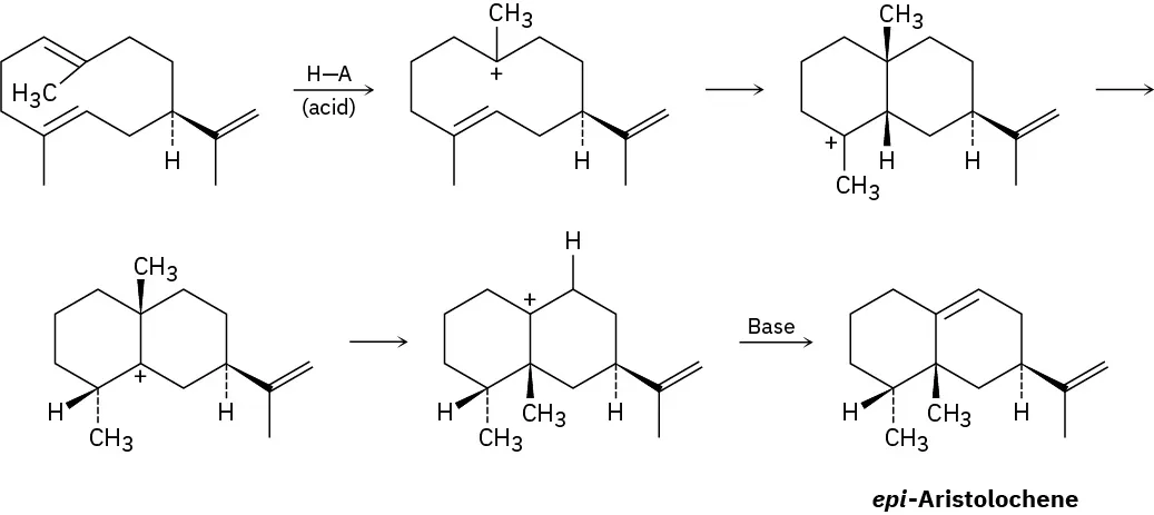 A 5-step reaction shows the formation of epi-Aristolochene. H-A (acid) is used in first step and base in the last step.